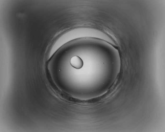 X0000114600203200910191625