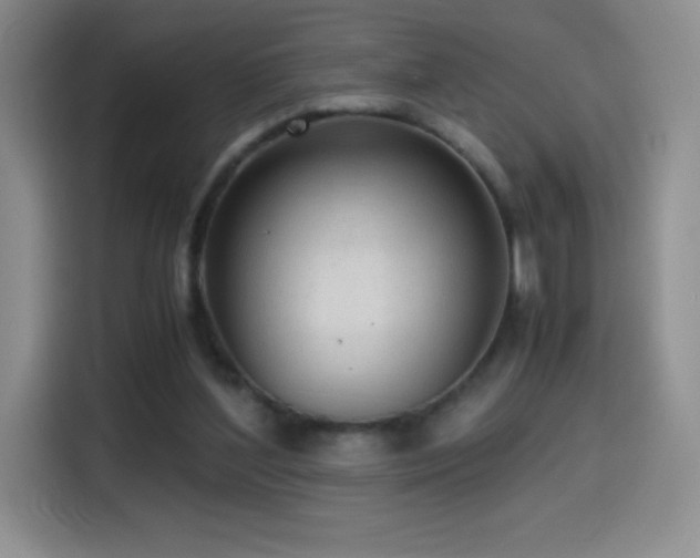 X0000114600204200910191625