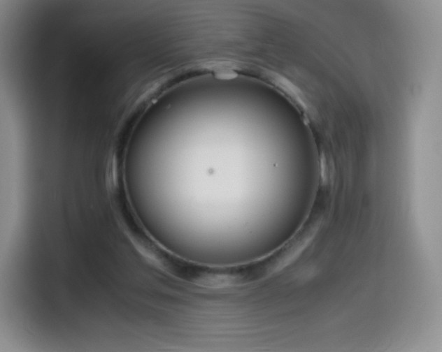 X0000114600205200910191625