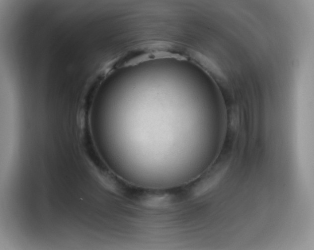 X0000114600206200910191625