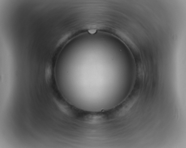 X0000114600208200910191625