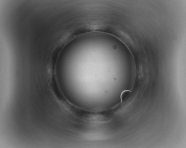 X0000114600210200910191625