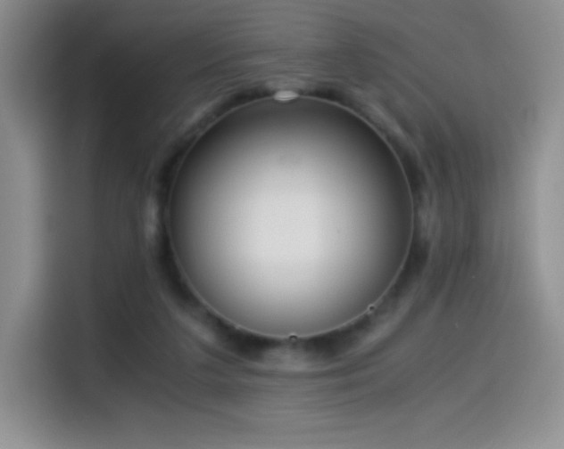 X0000114600211200910191625