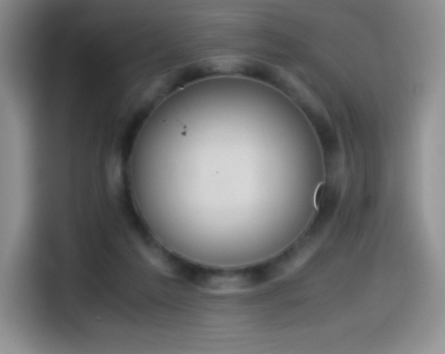 X0000114600213200910191625