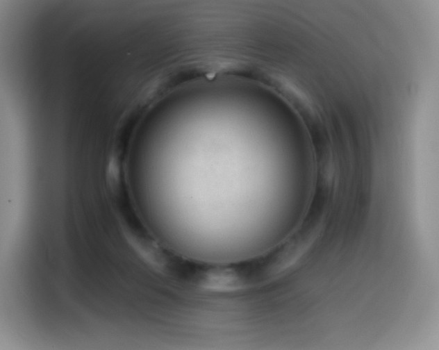 X0000114600214200910191625