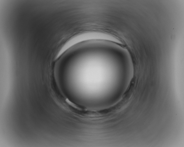 X0000114600215200910191625