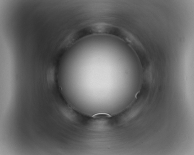 X0000114600217200910191625