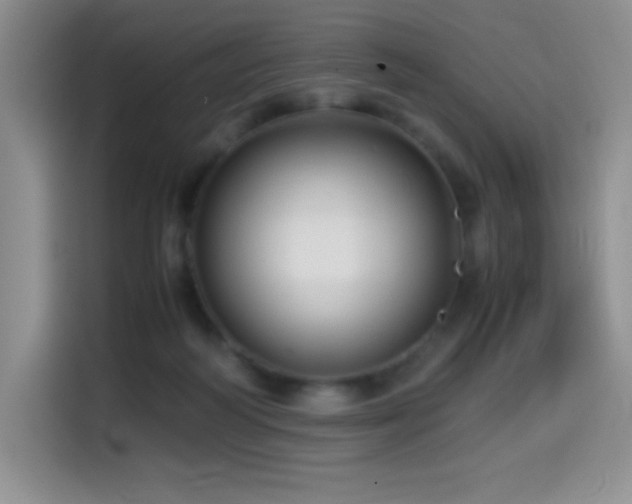 X0000114600218200910191625