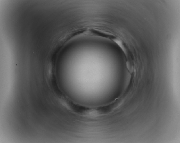 X0000114600219200910191625