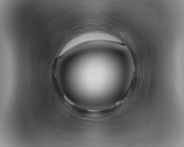 X0000114600221200910191625