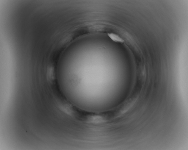 X0000114600224200910191625