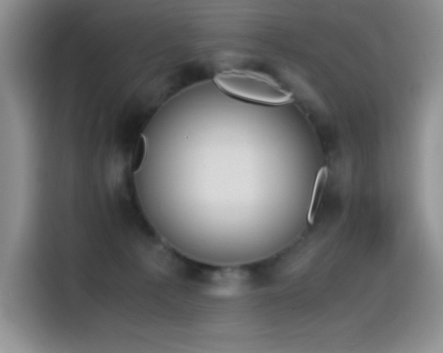 X0000114600225200910191625