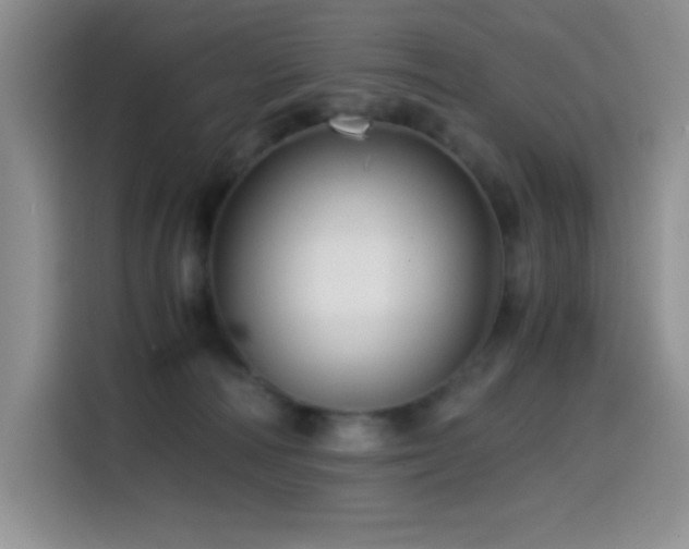 X0000114600226200910191625