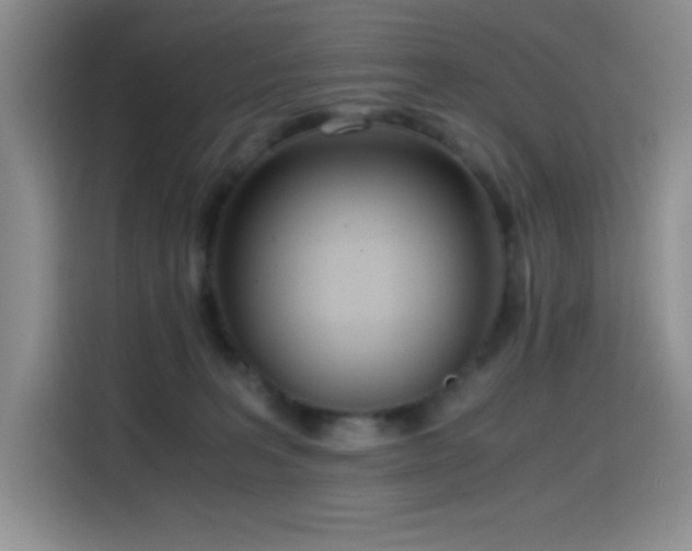 X0000114600227200910191625