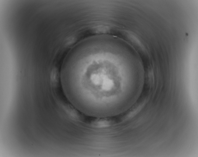 X0000114600228200910191625