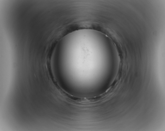 X0000114600229200910191625