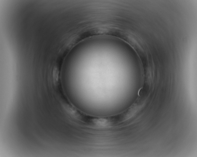 X0000114600230200910191625