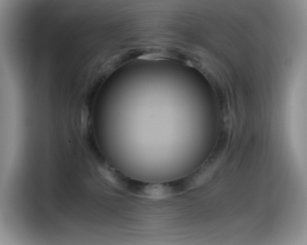 X0000114600231200910191625