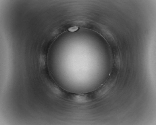 X0000114600232200910191625