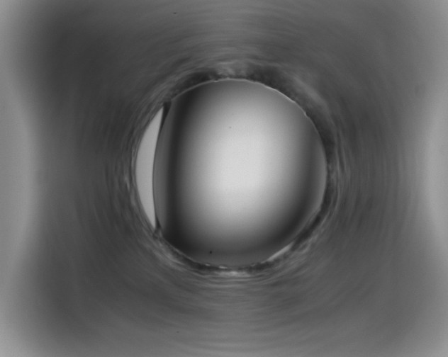 X0000114600233200910191625