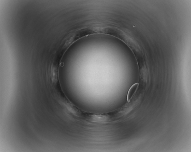 X0000114600234200910191625