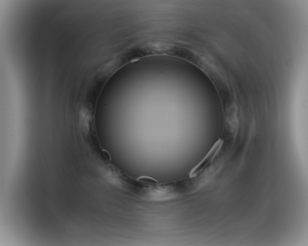 X0000114600235200910191625