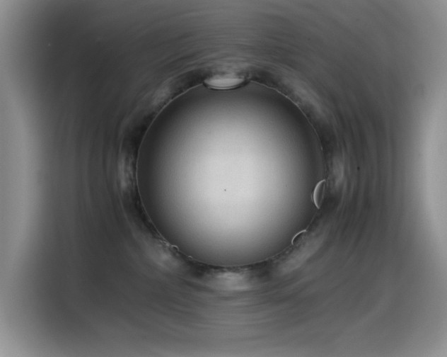 X0000114600236200910191625