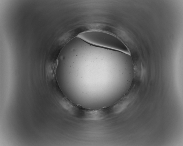 X0000114600237200910191625