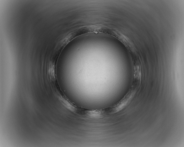 X0000114600238200910191625