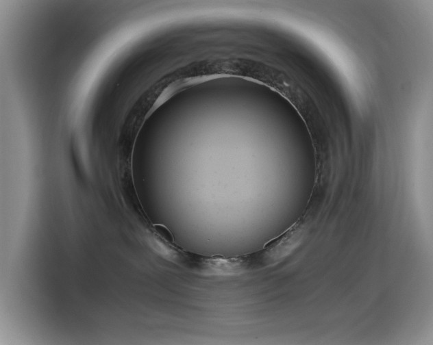 X0000114600239200910191624