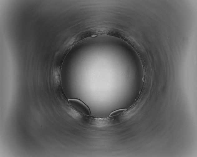 X0000114600240200910191624