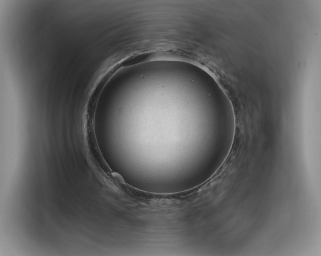 X0000114600242200910191624