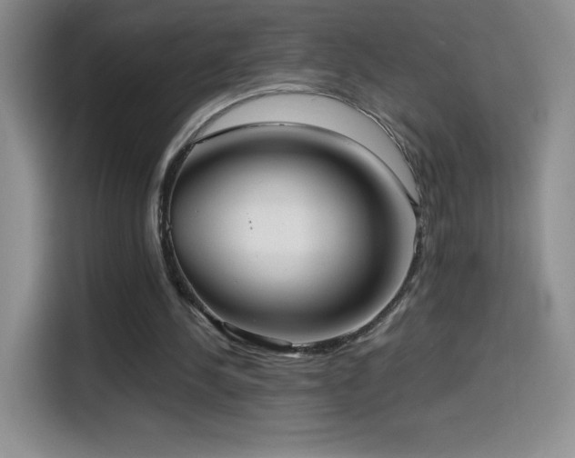 X0000114600244200910191624