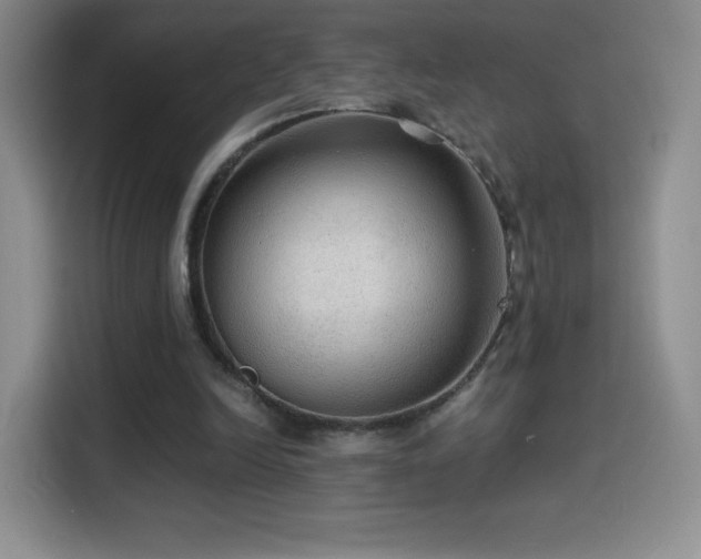 X0000114600246200910191624