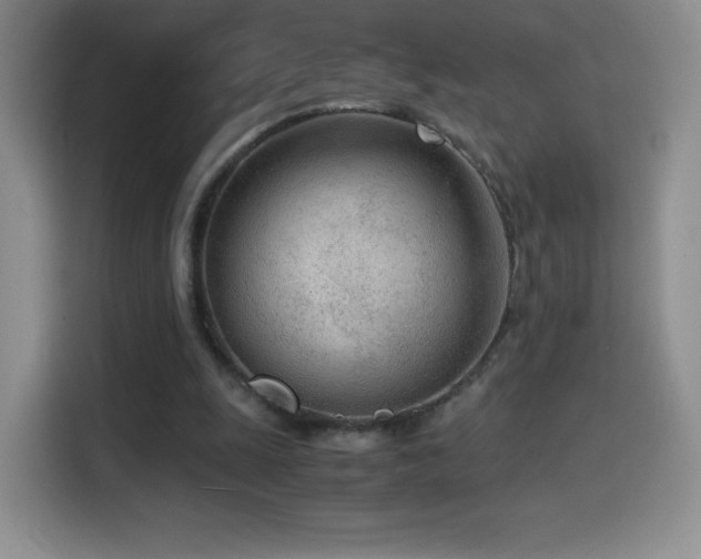 X0000114600247200910191624