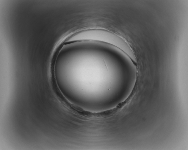 X0000114600248200910191624