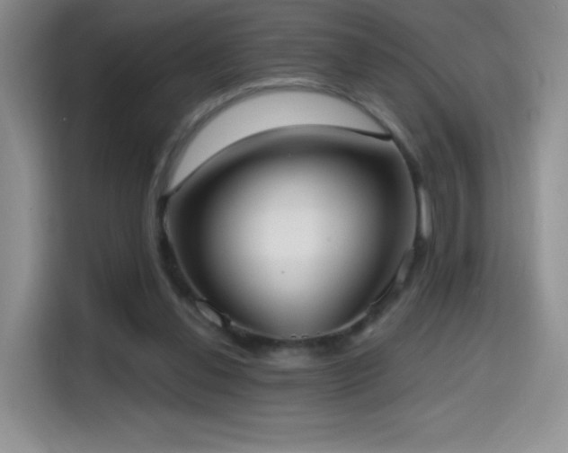 X0000114600252200910191624