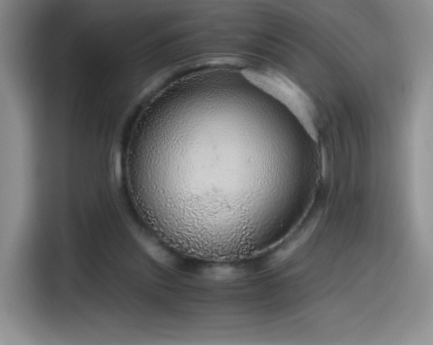 X0000114600253200910191624