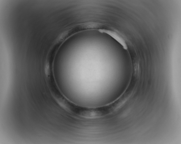 X0000114600254200910191624