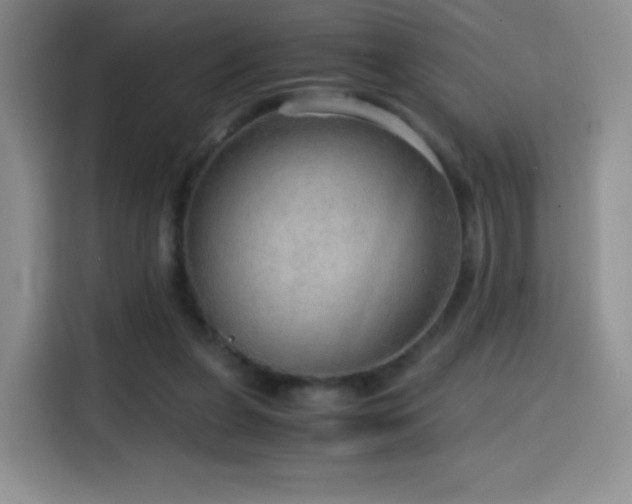 X0000114600255200910191624