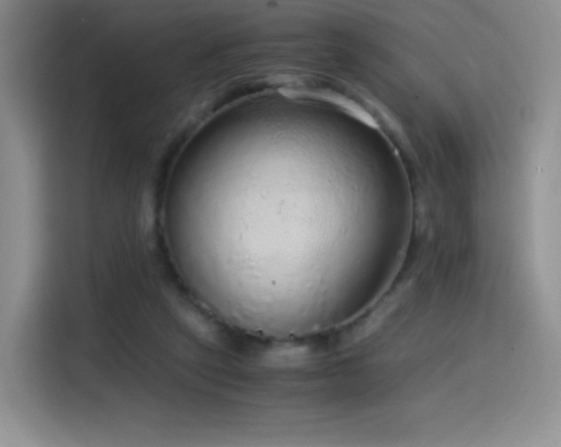 X0000114600257200910191624