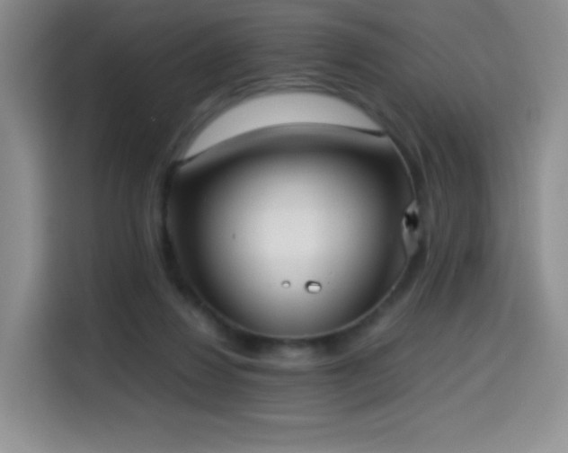 X0000114600260200910191624