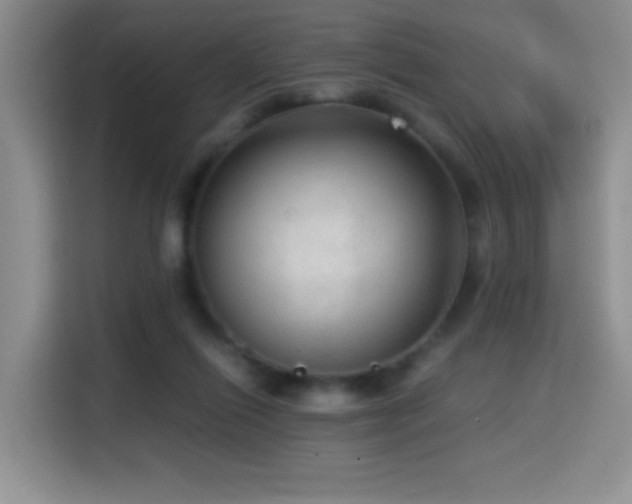 X0000114600262200910191624