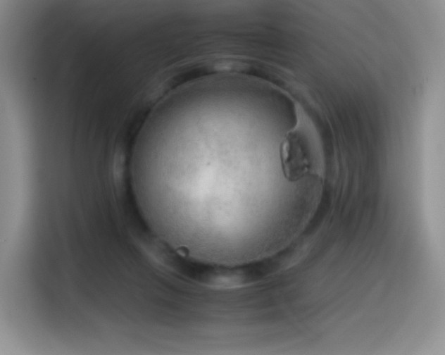 X0000114600263200910191624