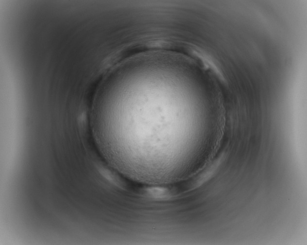 X0000114600265200910191624