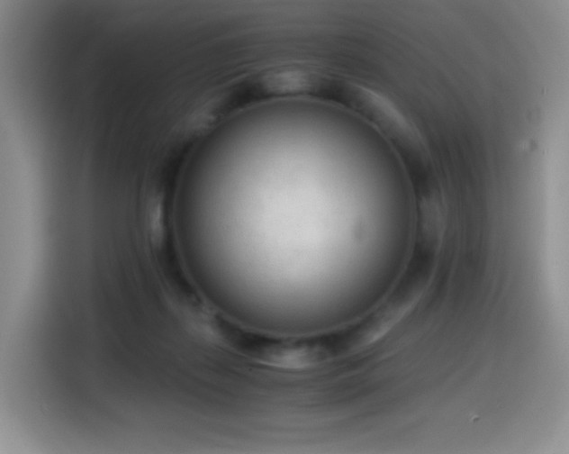 X0000114600267200910191624