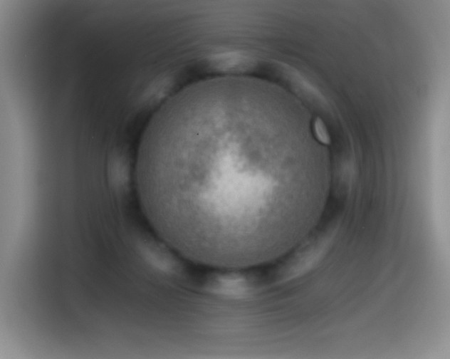 X0000114600268200910191624