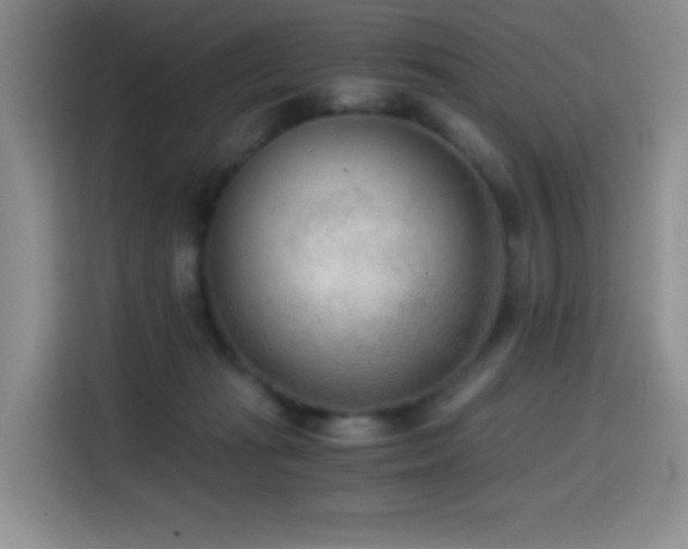 X0000114600269200910191624