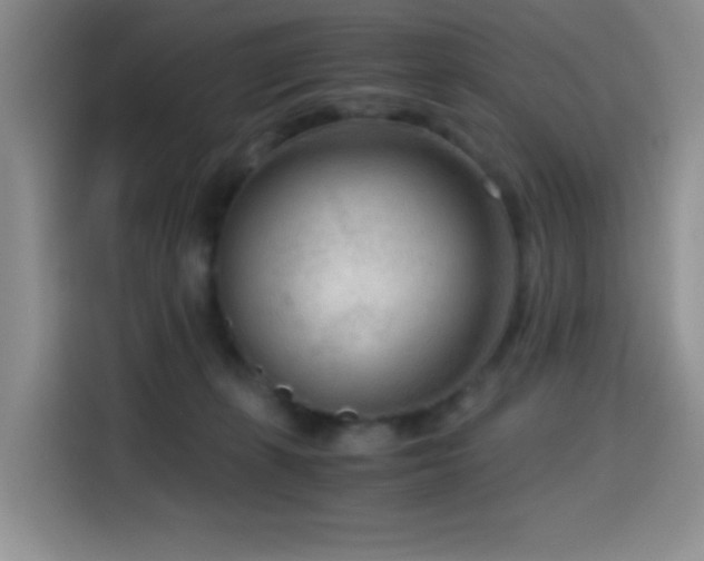 X0000114600271200910191624