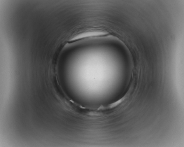 X0000114600272200910191624